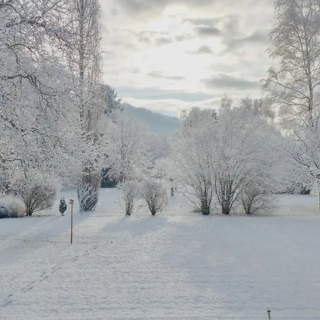 Entre Thur Et Montagne Couette-café Willer-sur-Thur